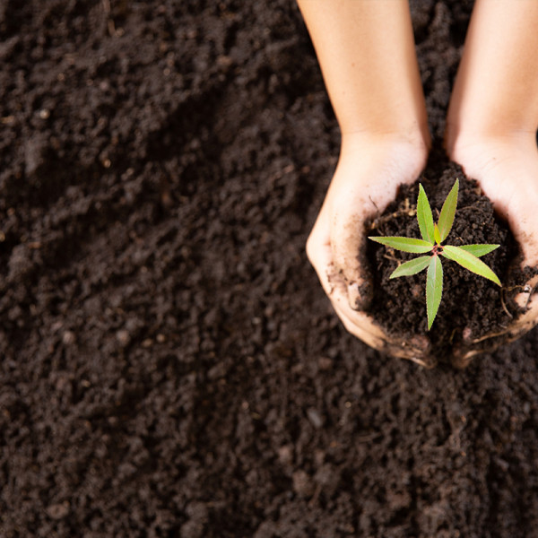 We grow, you grow!